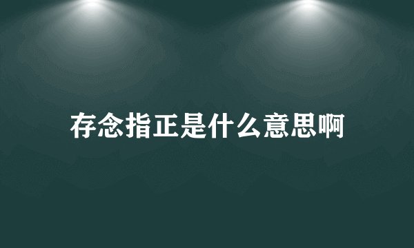 存念指正是什么意思啊