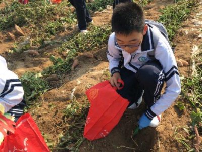 学生参加社会公益活动有哪些？