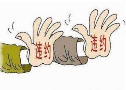 上海美问科技 签合同一年 屌用没有