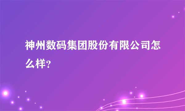 神州数码集团股份有限公司怎么样？