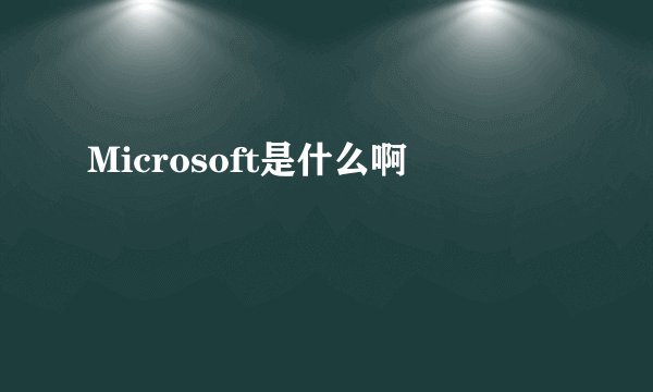 Microsoft是什么啊