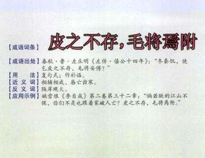 皮之不存毛将焉附