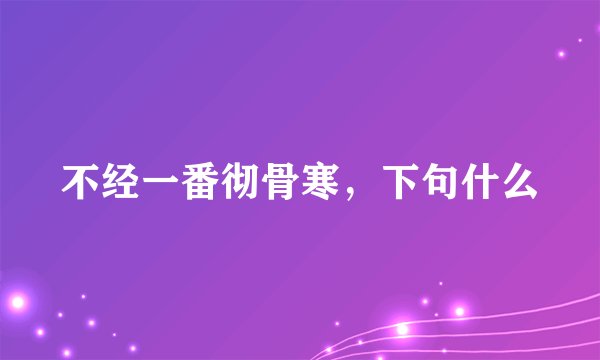 不经一番彻骨寒，下句什么