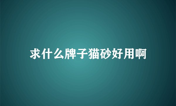 求什么牌子猫砂好用啊