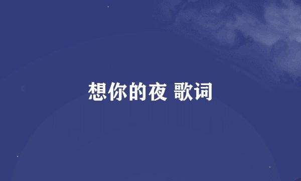 想你的夜 歌词