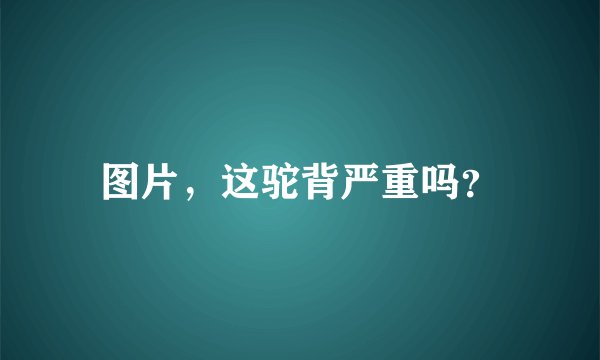 图片，这驼背严重吗？