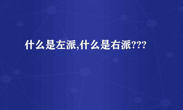 什么是左派,什么是右派???