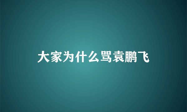 大家为什么骂袁鹏飞