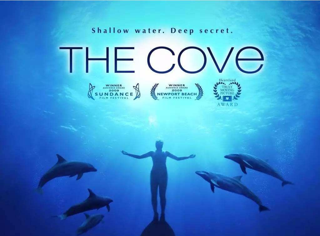 有哪些好看高分震撼的纪录片