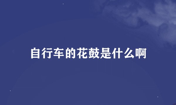 自行车的花鼓是什么啊