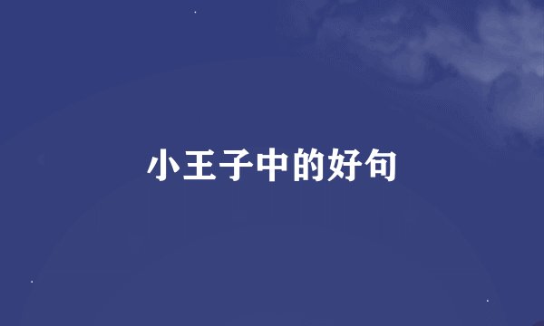 小王子中的好句
