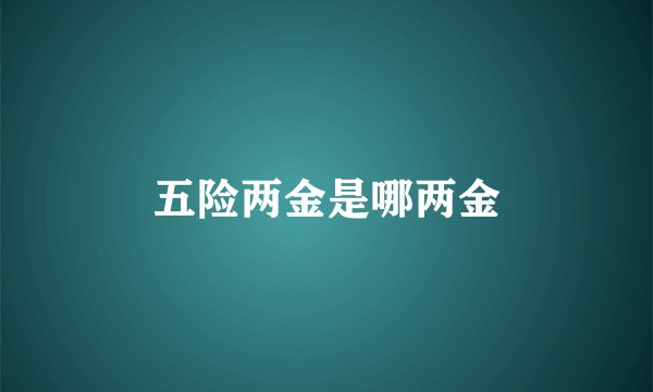 五险两金是哪两金