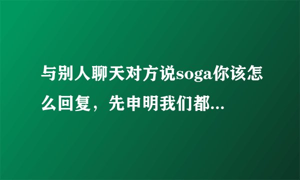 与别人聊天对方说soga你该怎么回复，先申明我们都知道彼此是二次元党。