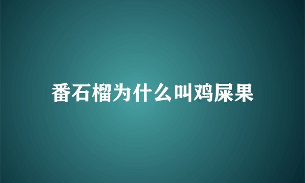 番石榴为什么叫鸡屎果