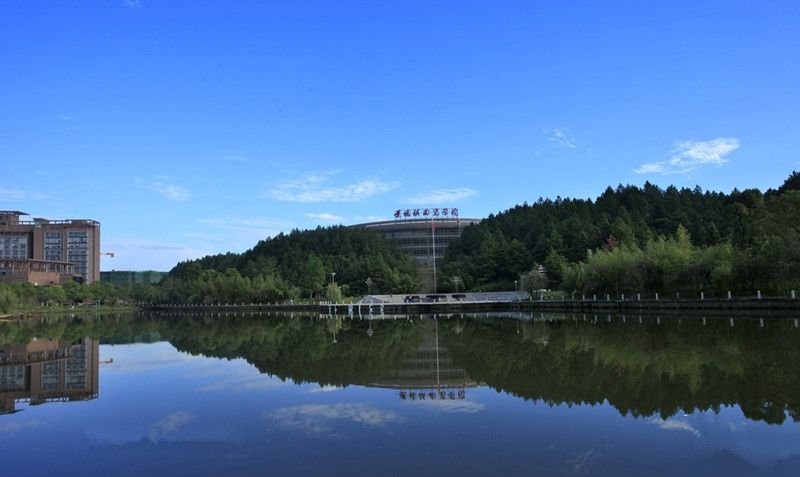 景德镇陶瓷大学和景德镇陶瓷学院的区别。