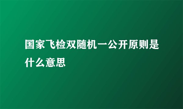 国家飞检双随机一公开原则是什么意思