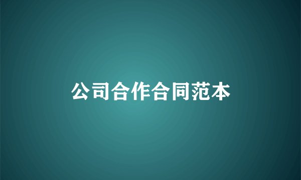 公司合作合同范本