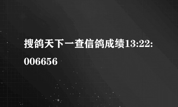 搜鸽天下一查信鸽成绩13:22:006656