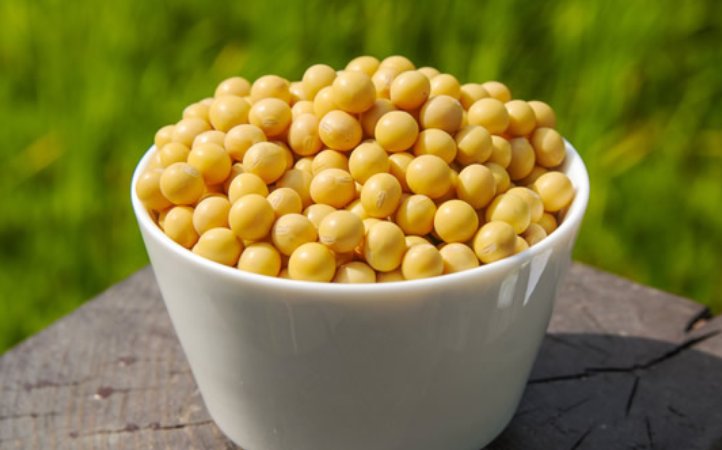 大豆膳食纤维是什么？