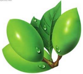 癌症会遗传吗？几率有多大？