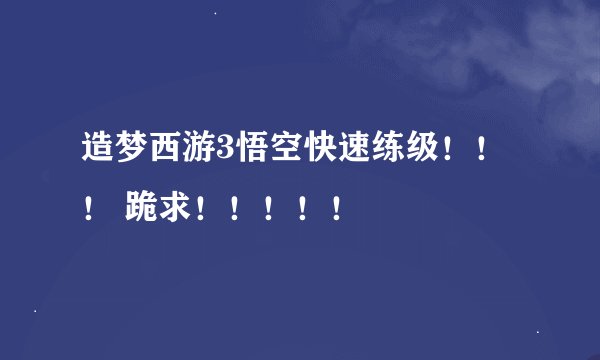 造梦西游3悟空快速练级！！！ 跪求！！！！！