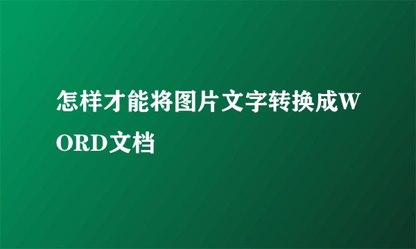 怎样才能将图片文字转换成WORD文档