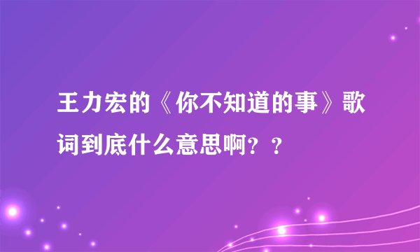 王力宏的《你不知道的事》歌词到底什么意思啊？？