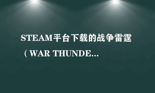 STEAM平台下载的战争雷霆（WAR THUNDER）是国际服吗？还是去官网下载？下载以后需要