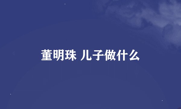 董明珠 儿子做什么