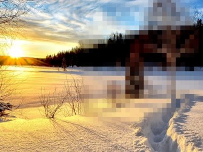 苹果手机去除马赛克恢复原图