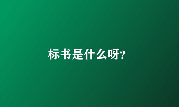 标书是什么呀？