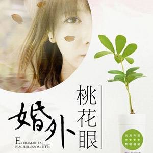 对《桃花眼》这部小说，怎么看？