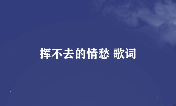 挥不去的情愁 歌词