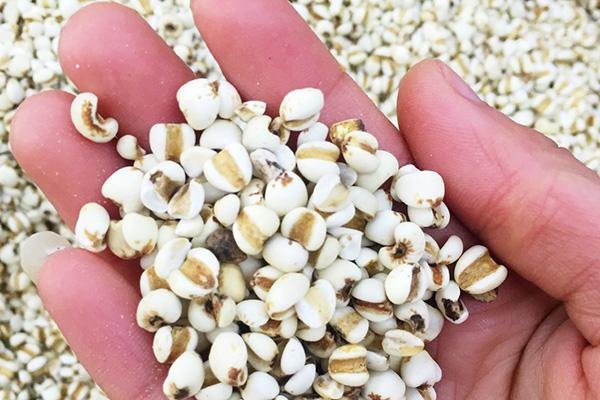 尿酸高可以吃什么食物表?