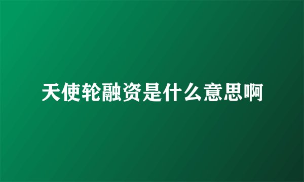 天使轮融资是什么意思啊