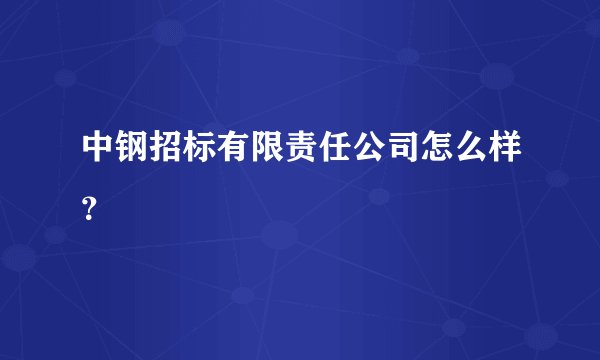 中钢招标有限责任公司怎么样？