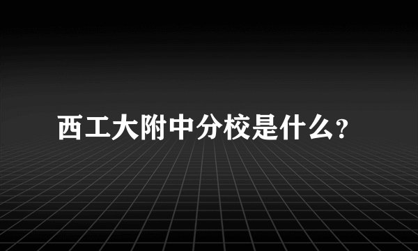 西工大附中分校是什么？