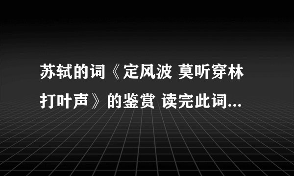 苏轼的词《定风波 莫听穿林打叶声》的鉴赏 读完此词后的个人感受