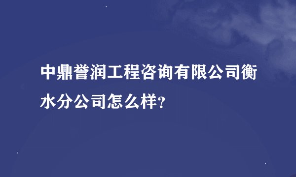 中鼎誉润工程咨询有限公司衡水分公司怎么样？