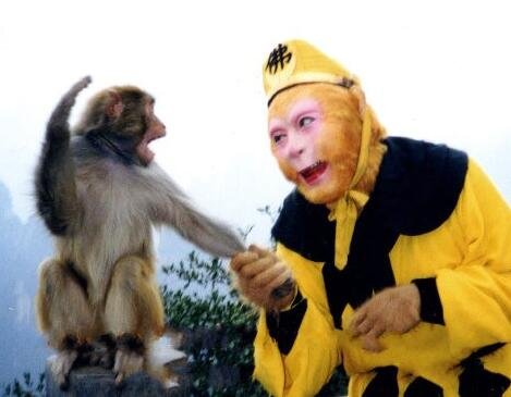 六小龄童11个兄弟姐妹中为了演孙悟空死了5个，是咋回事？