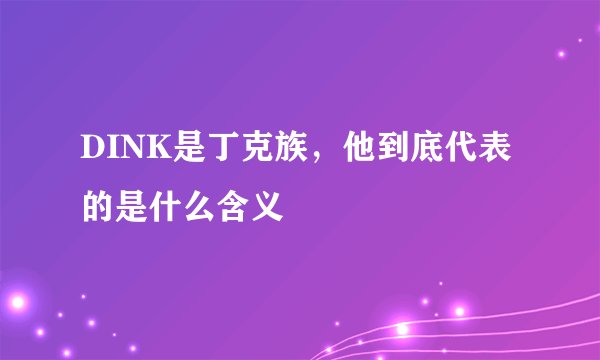DINK是丁克族，他到底代表的是什么含义