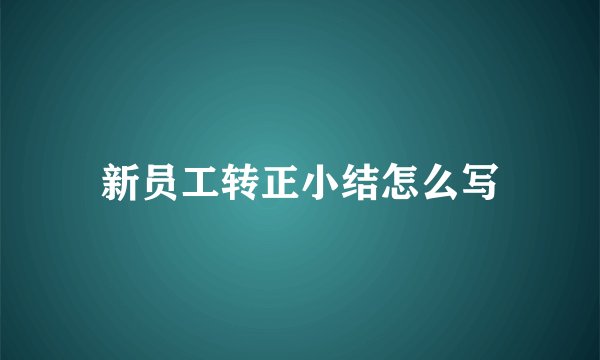 新员工转正小结怎么写