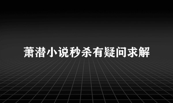 萧潜小说秒杀有疑问求解