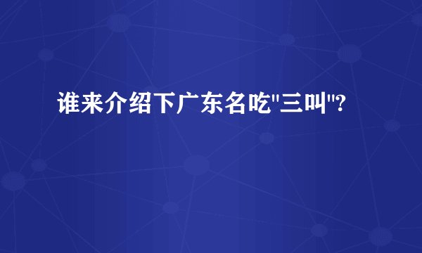 谁来介绍下广东名吃