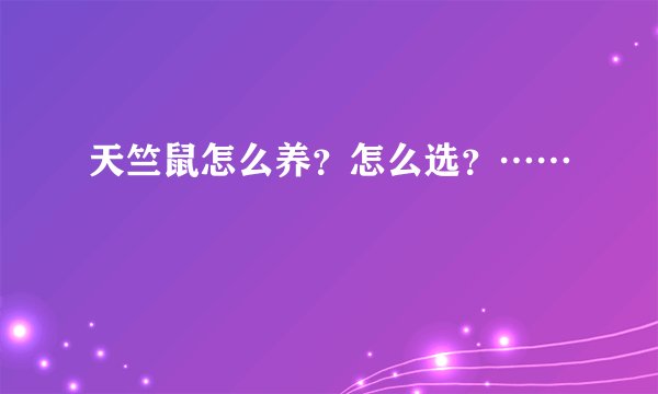 天竺鼠怎么养？怎么选？……