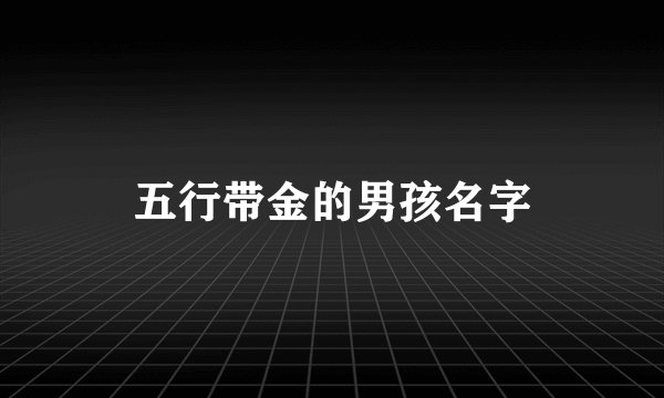 五行带金的男孩名字