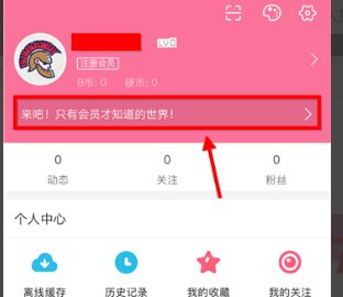 哔哩哔哩小会员怎样获得？