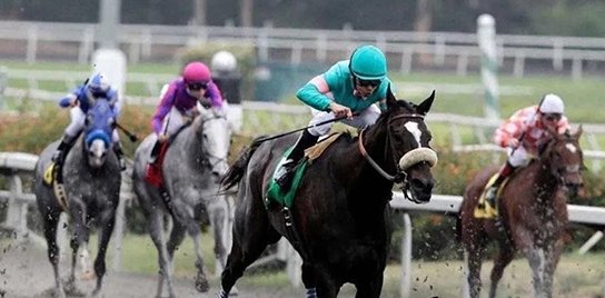 私密马赛是什么意思？