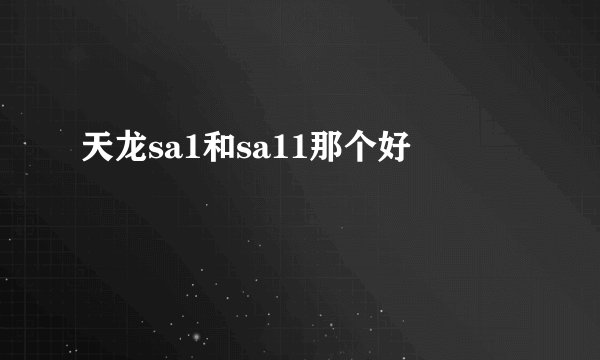 天龙sa1和sa11那个好
