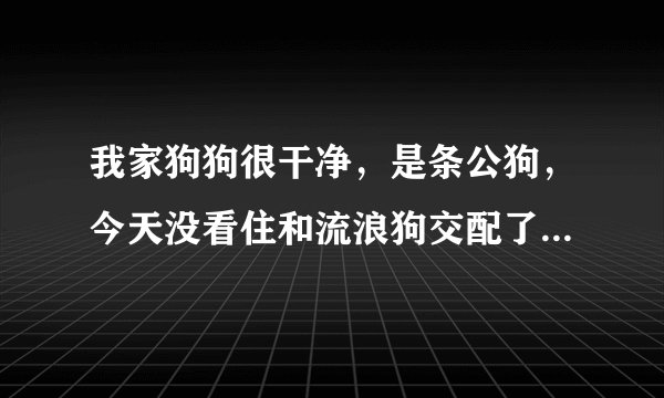 我家狗狗很干净，是条公狗，今天没看住和流浪狗交配了，会不会得病，会不会传染寄生虫？要怎么解决？